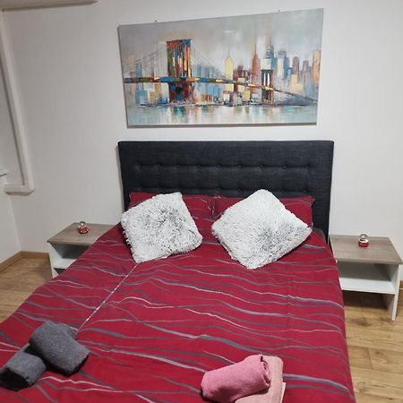 Studio Apartman Bojana 34M2,Free Wifi,Parking シサク エクステリア 写真