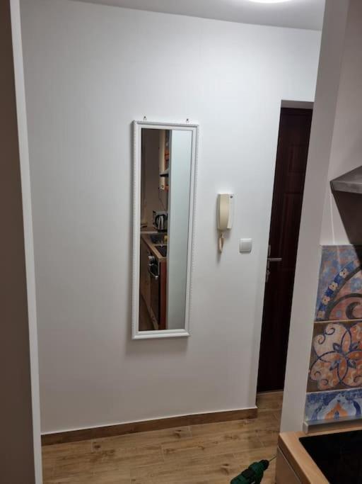 Studio Apartman Bojana 34M2,Free Wifi,Parking シサク エクステリア 写真