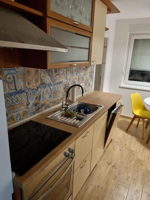 Studio Apartman Bojana 34M2,Free Wifi,Parking シサク エクステリア 写真