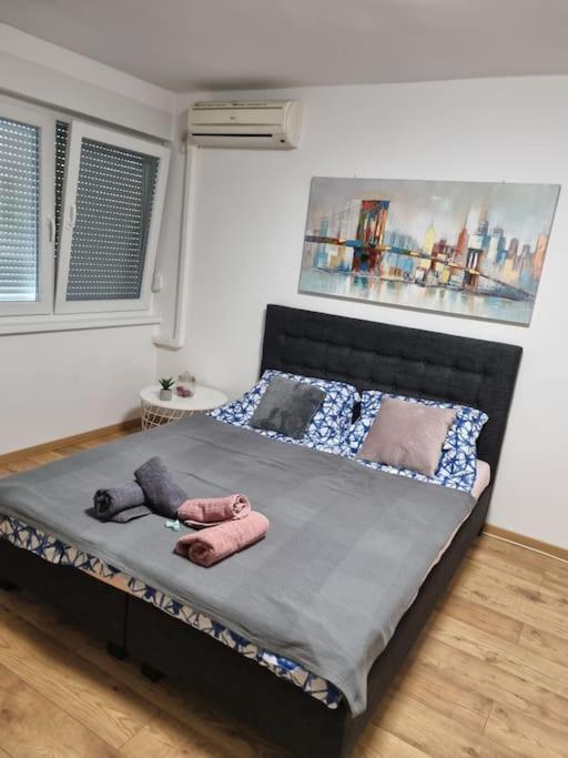 Studio Apartman Bojana 34M2,Free Wifi,Parking シサク エクステリア 写真