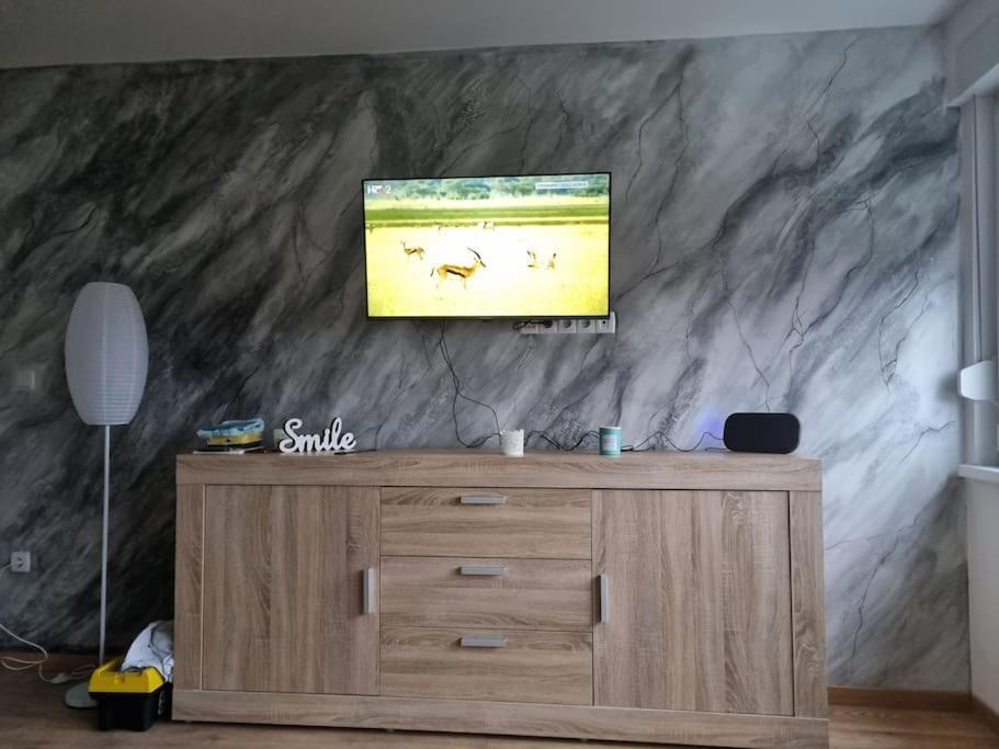 Studio Apartman Bojana 34M2,Free Wifi,Parking シサク エクステリア 写真