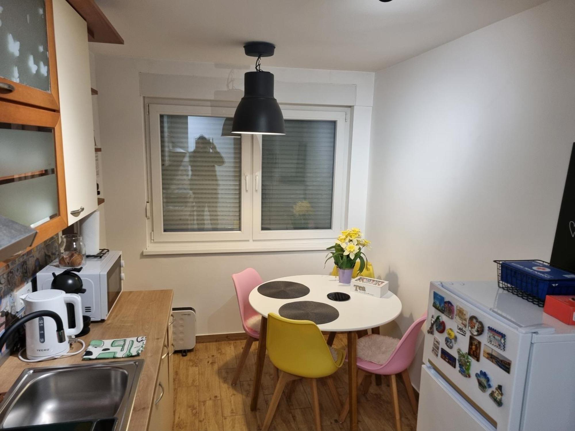 Studio Apartman Bojana 34M2,Free Wifi,Parking シサク エクステリア 写真