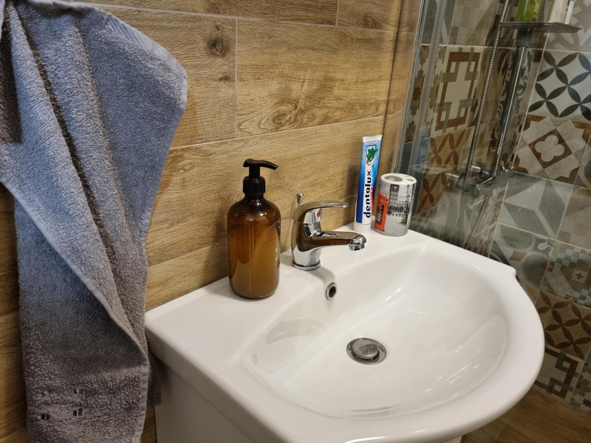 Studio Apartman Bojana 34M2,Free Wifi,Parking シサク エクステリア 写真