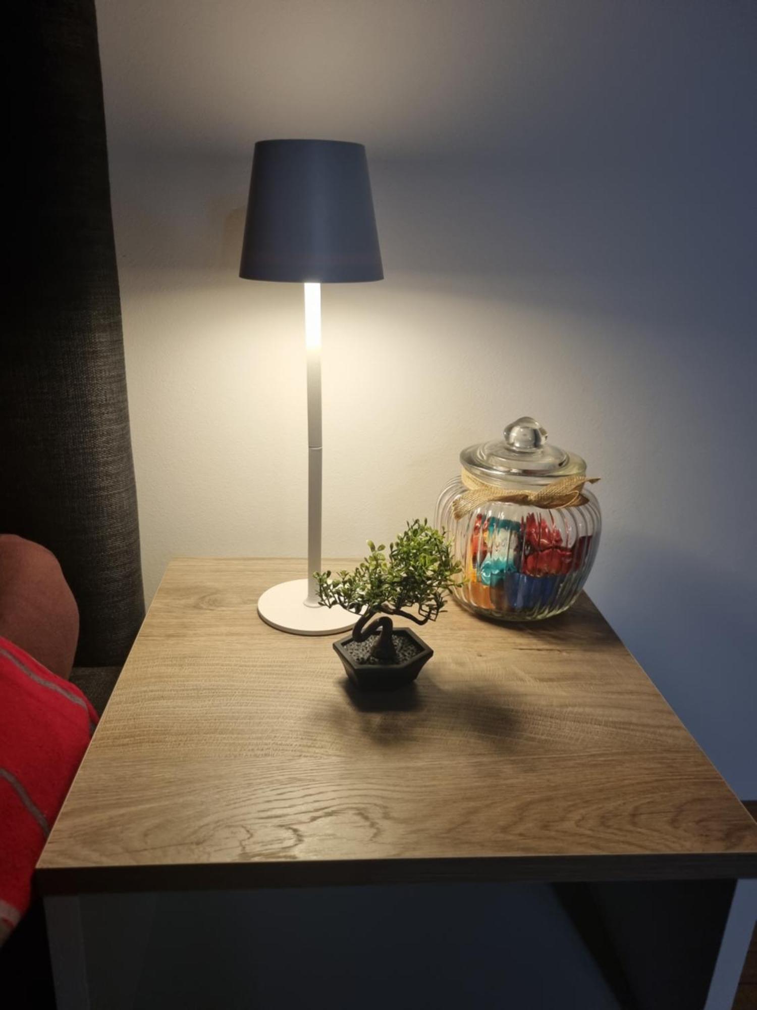 Studio Apartman Bojana 34M2,Free Wifi,Parking シサク エクステリア 写真